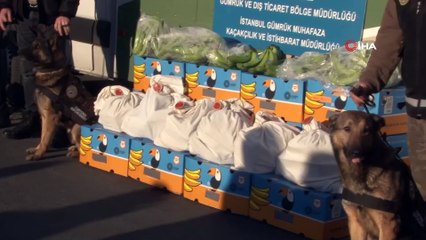 Ambarlı limanında muz konteynerinden adeta uyuşturucu fışkırdı