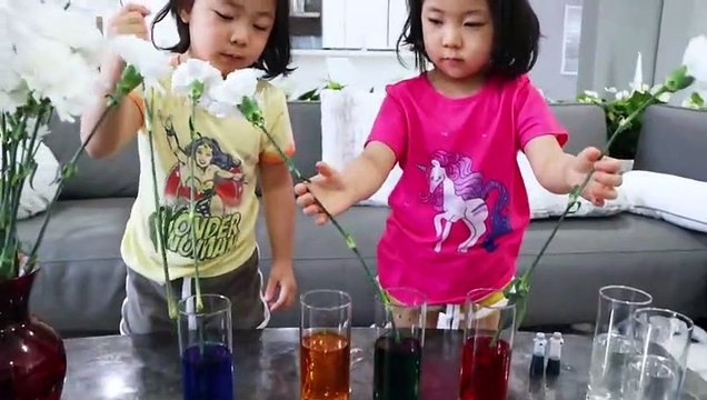 Color Changing Flowers Easy DIY Science Experiments for kids!