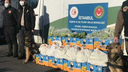 Ambarlı Limanı'nda muz konteynerinden uyuşturucu fışkırdı