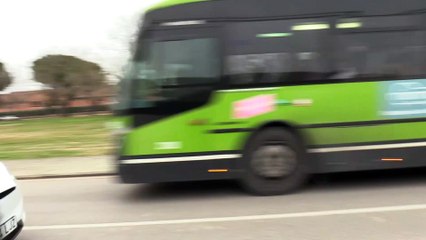 Paula Echevarría 'da el relevo' a David Bustamante en un día de doble celebración