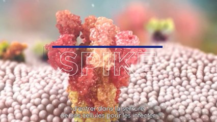 Vaccins contre la Covid : un exploit scientifique inédit (version sous-titrée)