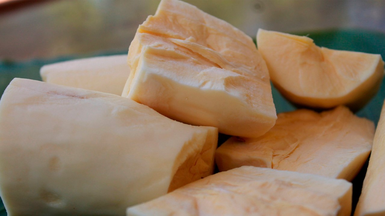8 Propiedades y Beneficios de la YUCA