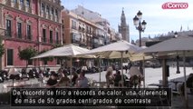Imágenes de Sevilla con temperaturas primaverales