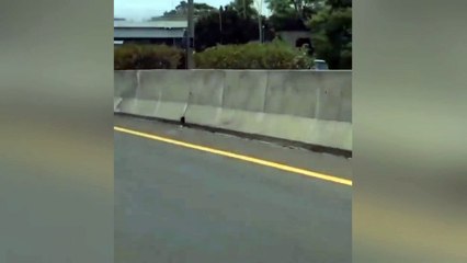 Ngeri! Ban Truk Lepas Nyaris Hantam Mobil Lain di Jalan Tol