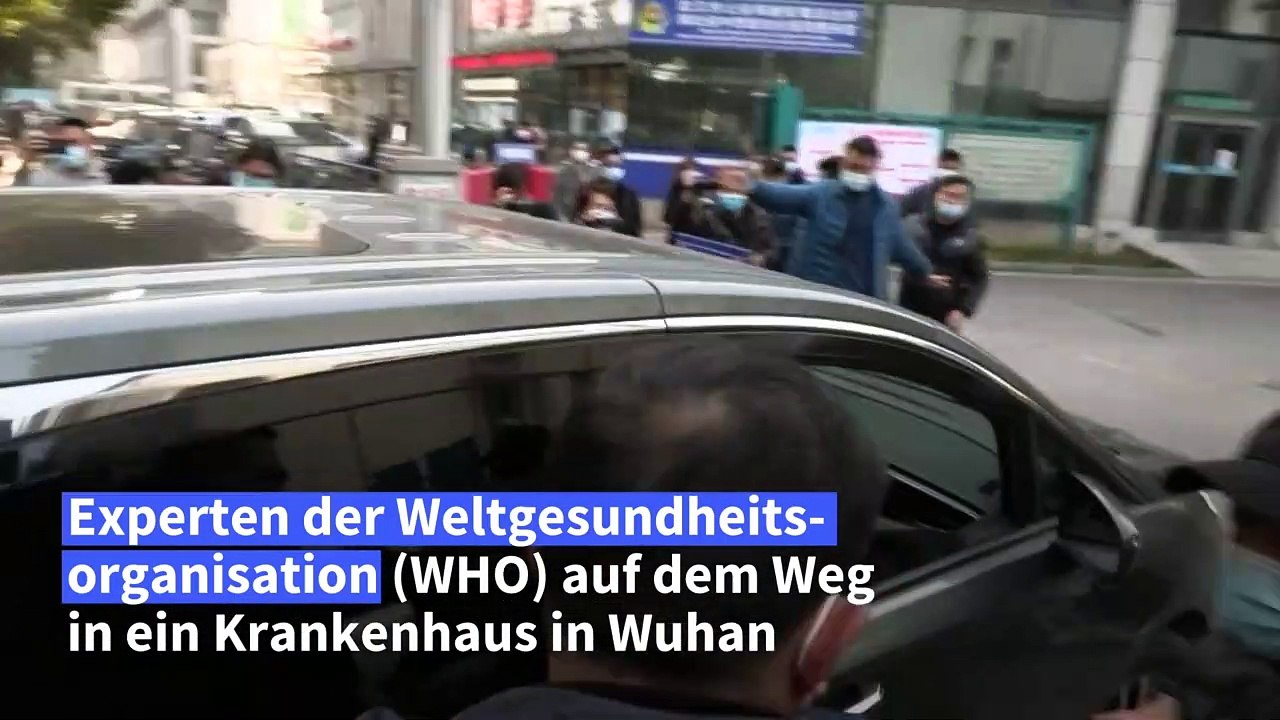 WHO-Team beginnt Untersuchungen in Wuhan