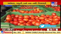 Viramgam_ Farmers, farm labourers face tough time due to drastic fall in prices of tomatoes _ TV9