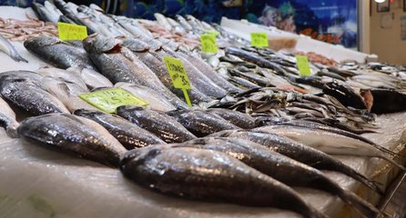 Kuvvetli fırtına ve sağanak, balık fiyatlarını uçurdu