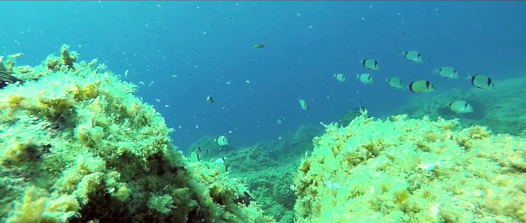 Mykonos scuba diving by GoDIVE Mykonos at Lia beach Mykonos Greece