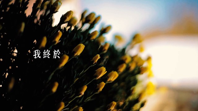 童雲晞 Bessy Tung【隱形的翅膀 Invisible Wings】Official Lyric Video - 愛奇藝／八大戲劇台／衛視中文台 旗艦大戲《她們創業的那些鳥事》插曲