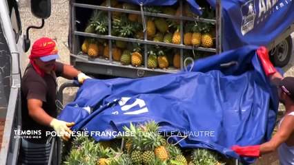 Polynésie française - D'une île à l'autre