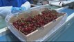 Cherry controversy: Chile's fruit growers impacted by 'rumour'