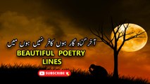 Daem para Hua Tere Dar Per  Nahi hu Me | Sad Poetry Lines | Poetry Junction