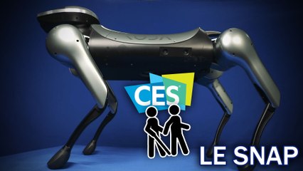 Le Snap #24 : Un robot compagnon pour les aveugles