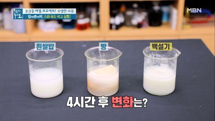 밥vs빵vs떡 소화 속도 비교 실험!