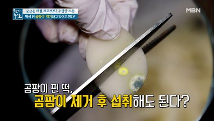 떡에 핀 곰팡이! 제거하고 먹어도 된다?