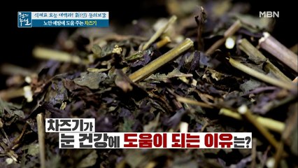 차즈기가 눈 건강 관리에 도움 되는 이유