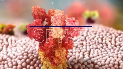 Des vaccins contre la covid : un exploit scientifique inédit