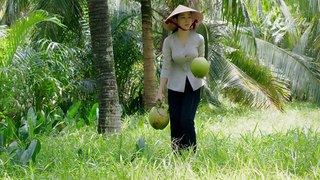 Vietnam food : Meals from coconut  episode 2 Bữa Cơm Từ Dừa - tập 2