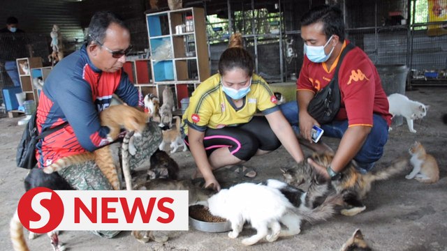 Animal rescuer will wake up from surgery to eviction notice