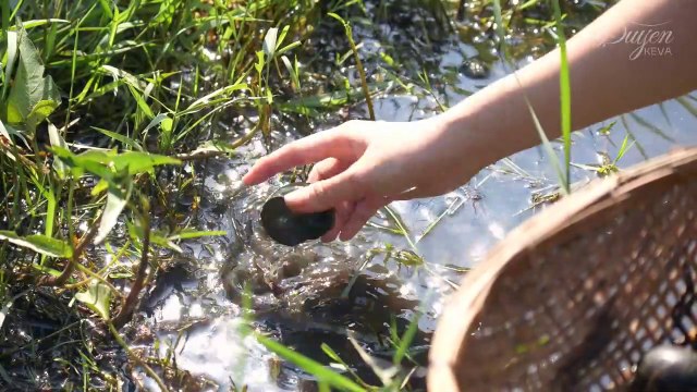 Vietnam food : Snail Pie baked banana leaves episode 4 - Chả ốc nướng lá chuối - tập 4