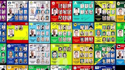 Cuánto dinero recibirán los partidos este año luego del orden dado por la JCE