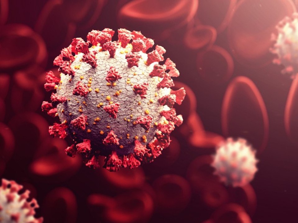 So verbreitet sind corona-mutationen in deutschland