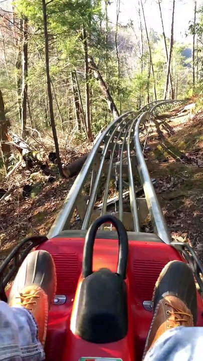 Surprisingly Speedy Mountain Coaster