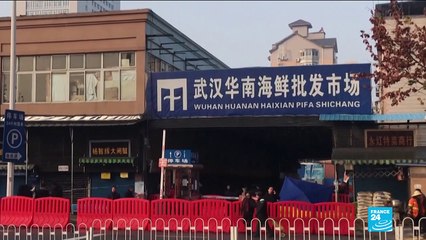Coronavirus pandemic: WHO virus probe begins with fieldwork in ground-zero Wuhan