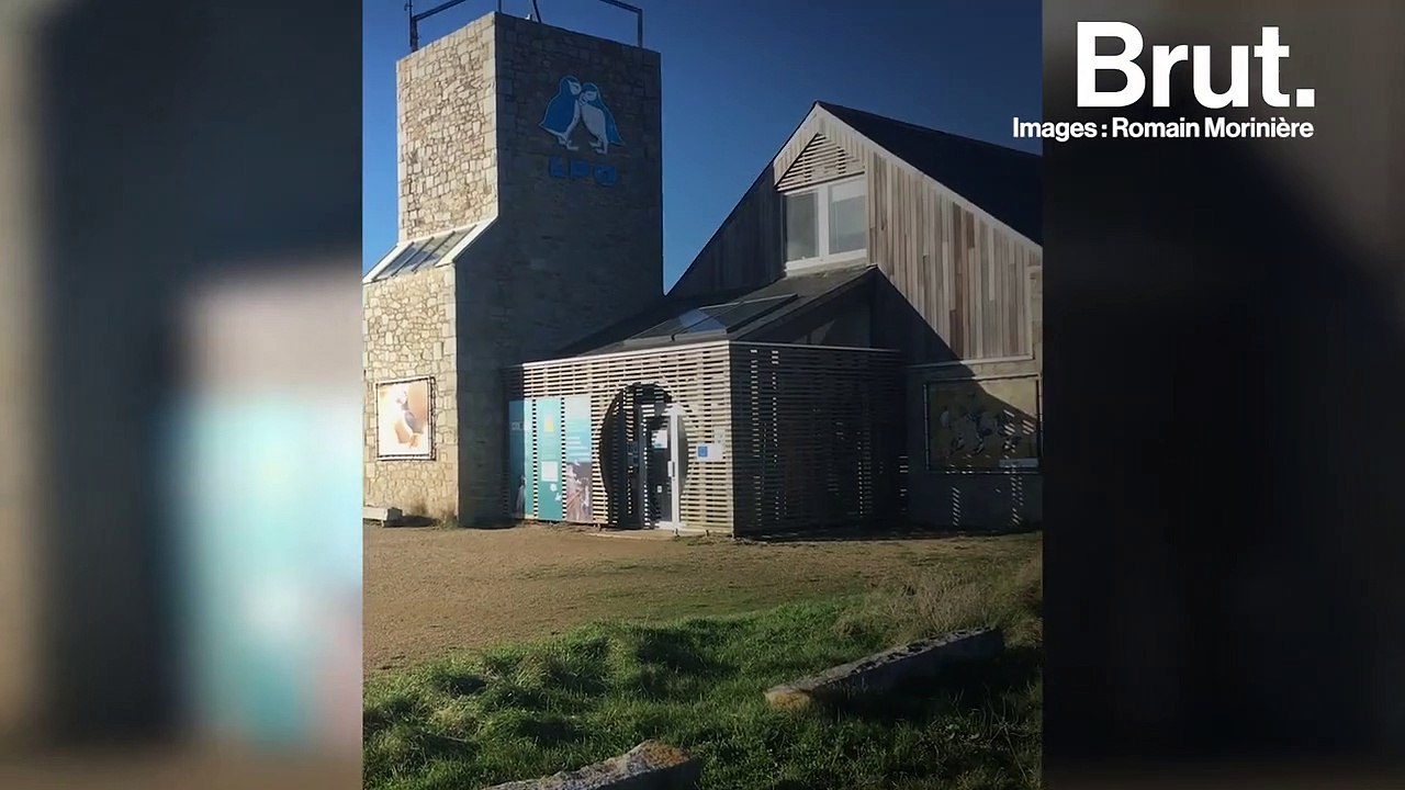 En Bretagne, 41 ans après avoir coulé au large de l'île de Batz, le Tanio affecte de nouveau la vie marine