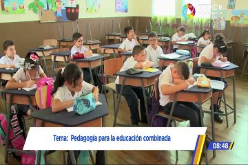 Educación combinada