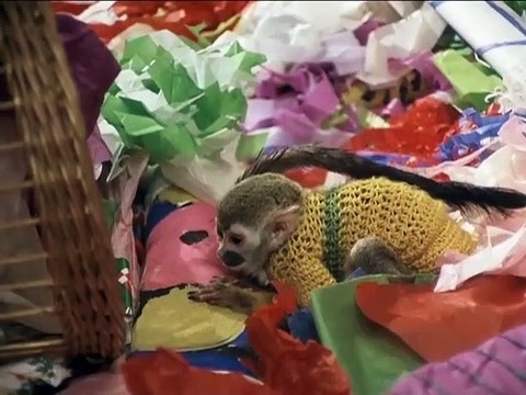 Pippi Calzaslargas 1x08 Pippi y las primeras nieves