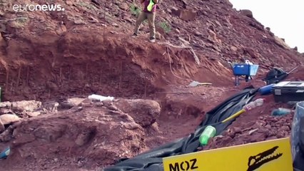 Dinossauro descoberto na Patagónia será o maior de sempre