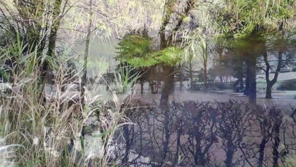 Das Biotop reloaded........oder:  Die nassen Konsequenzen einer Fehlentscheidung