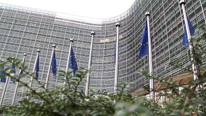 Descargar video: Bruselas autoriza la comercialización de la vacuna de AstraZeneca