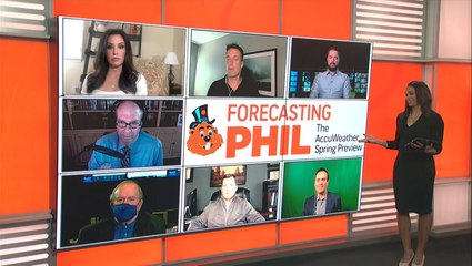 Forecasting Phil: Panelist predictions