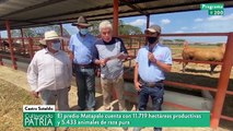 Cultivando Patria 31ENE2021 | Hato Los Matapalos, centro de recría de ganado bovino de Venezuela