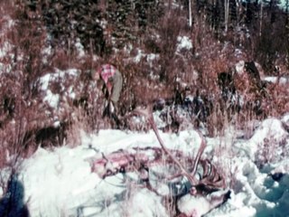 The Legend of Bigfoot (1975) Documentary part 2/2