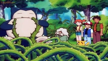 pokedex #143 snorlax 3