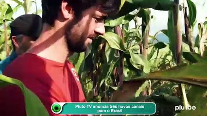 Pluto TV anuncia três novos canais para o Brasil