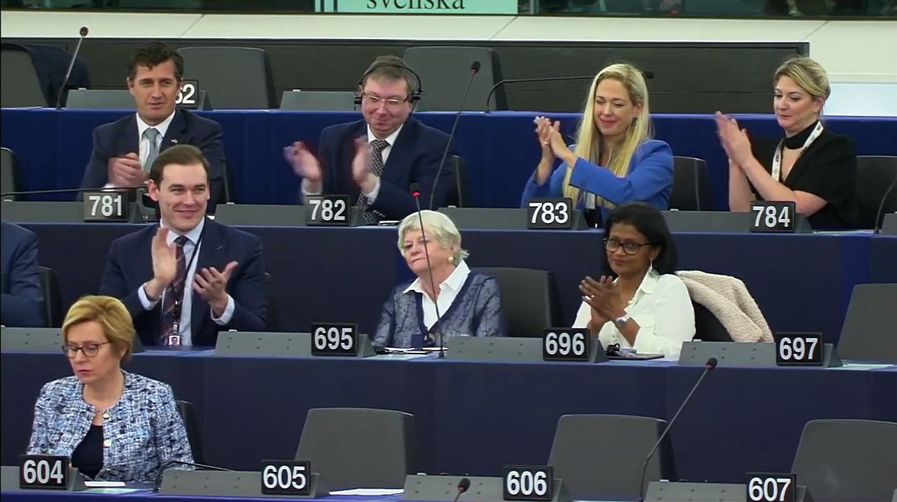 Ann Widdecombe explodes at MEP Sophia in 't Veld, who said majority of Brits don't support #Brexit