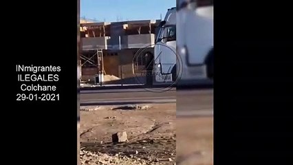 (29-01-2021) INmigrantes ILEGALES en Colchane