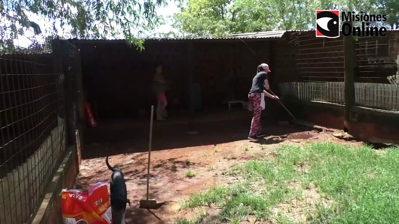 El Refugio se encarga de rescatar perros abandonados y buscarles una familia
