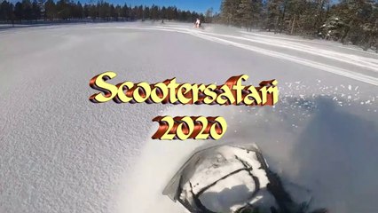 SKI-DOO 2020 HD720, Scootersafari Skogshotell, Lappland, best fun ever