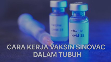 Begini Cara Kerja Vaksin Sinovac dalam Membentuk Kekebalan Tubuh 