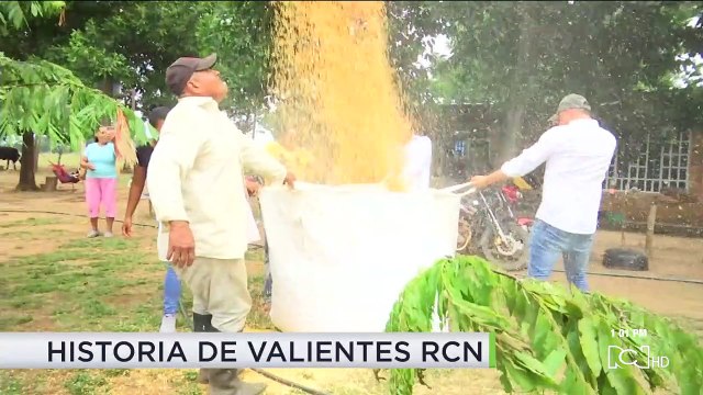 Luis Ángel Vargas, caminaba 20 minutos por señal de internet y logró un Icfes perfecto