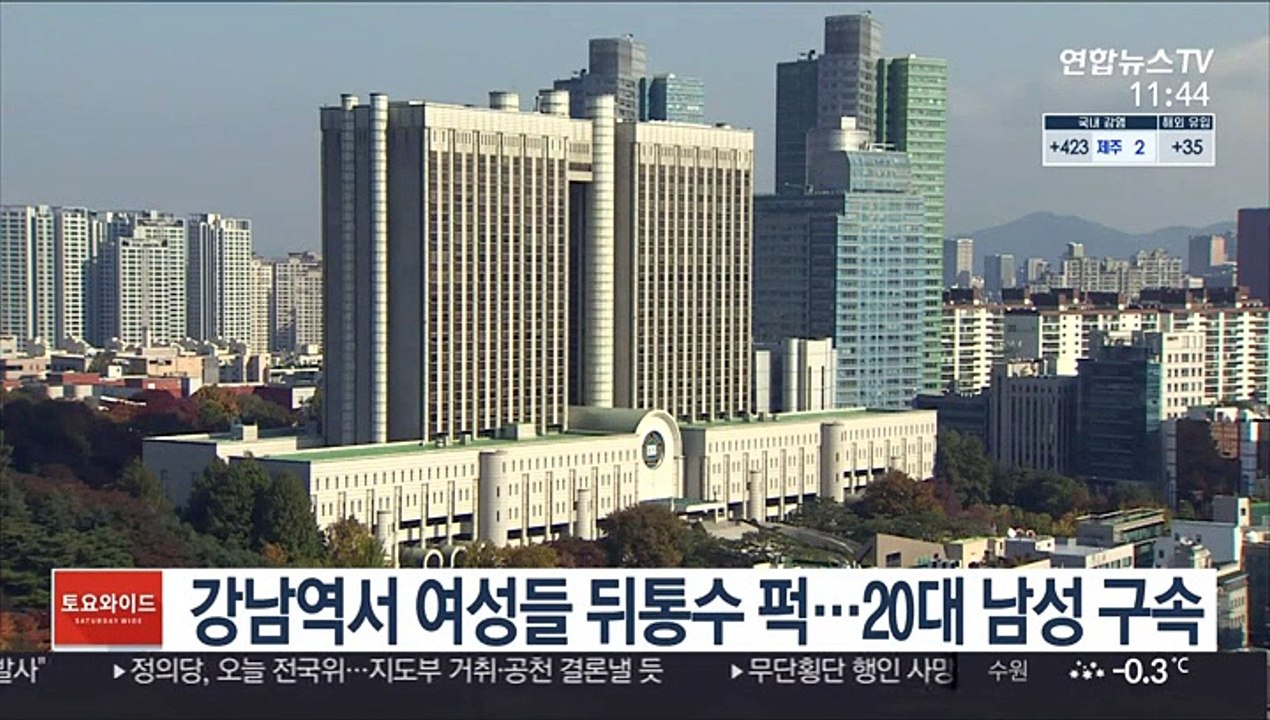 강남역서 여성들 뒤통수 퍽…20대 남성 구속