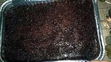 Super Moist Chocolate Cake by J&C Kuchen