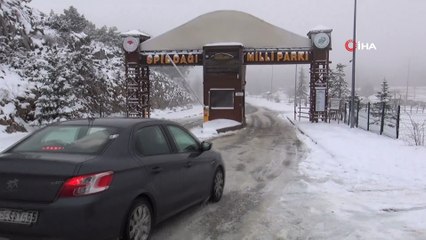 Manisa’nın simgesi yılkı atları karlı havada unutulmadı