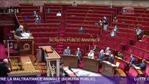 L'Assemblée nationale a voté à la quasi-unanimité en première lecture la proposition de loi de la majorité contre la maltraitance animale