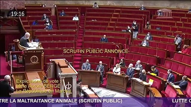 L'Assemblée nationale a voté à la quasi-unanimité en première lecture la proposition de loi de la majorité contre la maltraitance animale